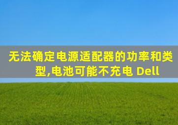 无法确定电源适配器的功率和类型,电池可能不充电 Dell